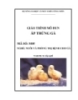 Giáo trình Ấp trứng gà - MĐ05: Nuôi và phòng trị bệnh cho gà