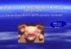 Bài giảng Hội chứng rối loạn hô hấp và sinh sản ở lợn (porcine reproductive and respiratory syndome)