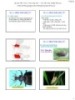 Bài giảng Côn trùng đại cương 1 - Chương 2: Hình thái học côn trùng