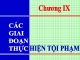Bài giảng Luật Hình sự Việt Nam: Chương 9 - ThS. Trần Đức Thìn