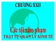 Bài giảng Luật Hình sự Việt Nam: Chương 22 - ThS. Trần Đức Thìn