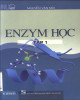 Ebook Enzym học (Tập 1): Phần 2