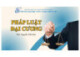 Bài giảng Pháp luật đại cương: Chương 7 - ThS. Nguyễn Viết Sơn