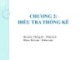 Bài giảng Nguyên lý thống kê - Chương 2: Điều tra thống kê